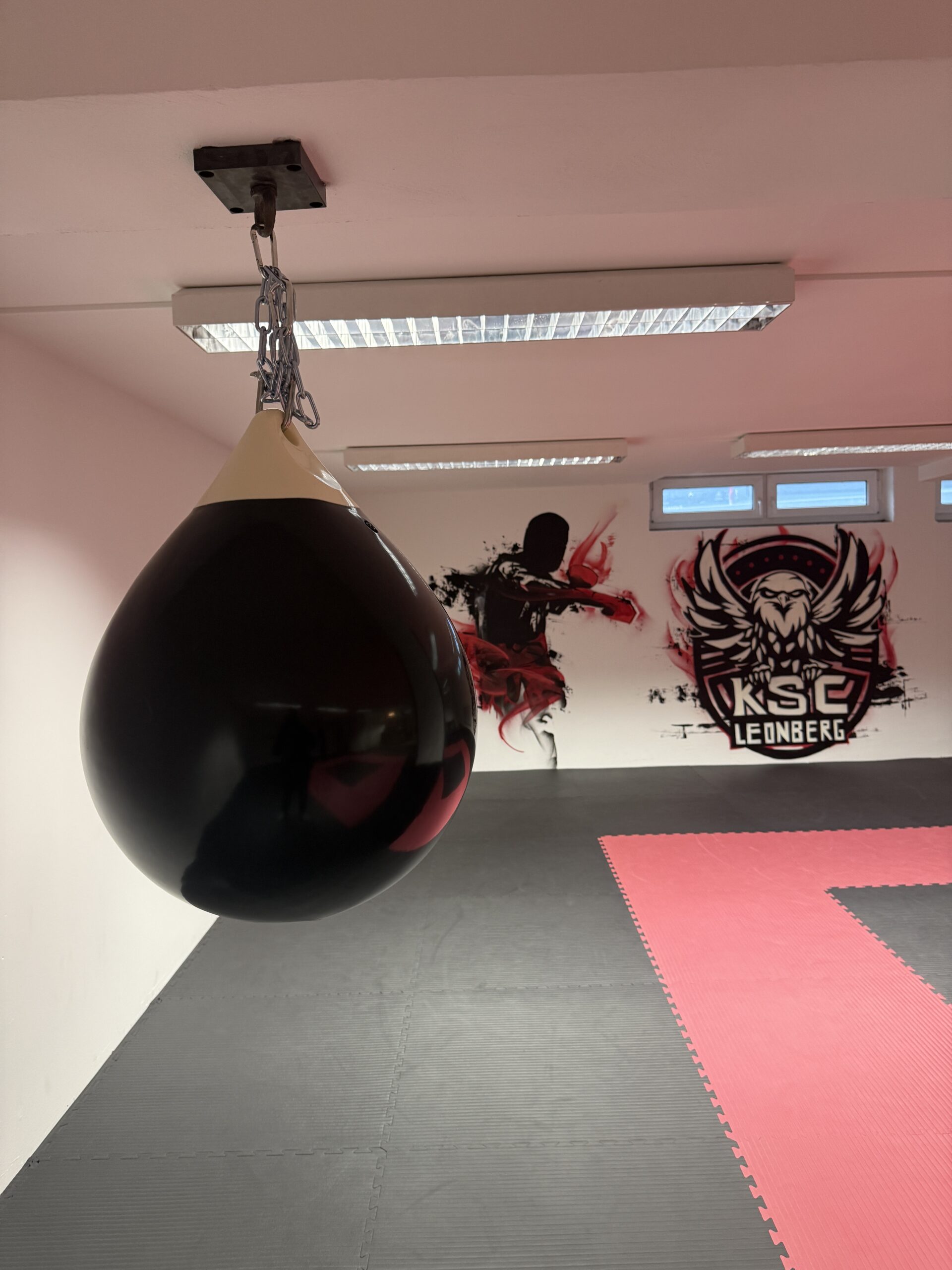 Trainingsbereich